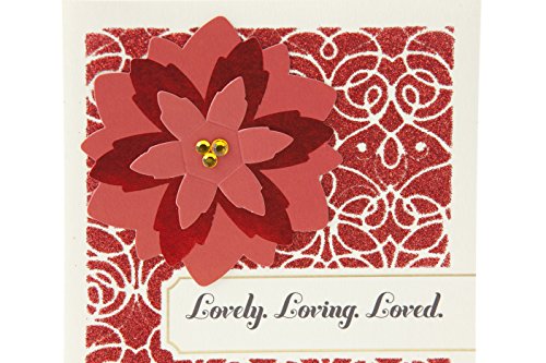 Hallmark Mahogany Romantic Christmas Card for Significant Other (Our Love and Life Together)