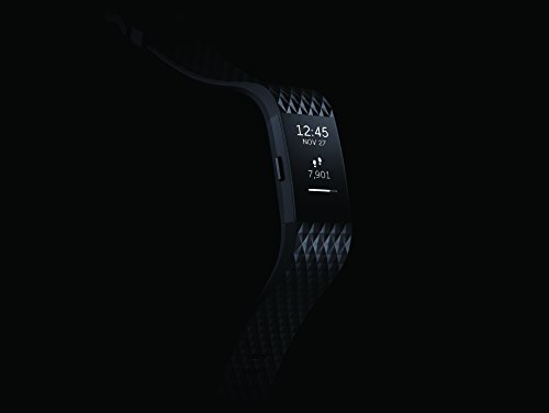 Fitbit Charge 2 Heart Rate + Fitness Wristband, Special Edition, Gunmetal, Large (US Version)