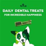 GREENIES Original Regular Natural Dog Dental Care Chews Oral Health Dog Treats, 27 oz. Pack (27 Treats)