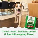 GREENIES Original Regular Natural Dog Dental Care Chews Oral Health Dog Treats, 27 oz. Pack (27 Treats)