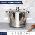 Buckingham 9L Stainless Steel Stock Pot with Lid