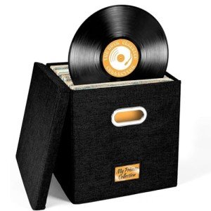 Vinyl Record Storage Box for 50+ Albums