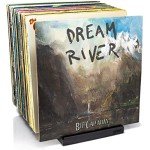 Mid-Century Vinyl Record Storage for 50 LPs