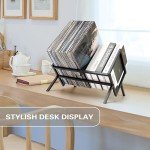 Regal Display Vinyl Record Storage Organizer - 70 Albums