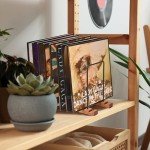 Vinyl Record Storage Holder for 50-90 LPs