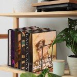 Vinyl Record Storage Holder for 50-90 LPs