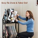 Vinyl Record Storage Holder - 200 Album Capacity
