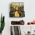 Acrylic Vinyl Record Holder Wall Mount Storage