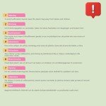 Vinyl Record Storage Box in Smoked Oak