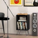 Vinyl Record Player Stand & Storage Cabinet