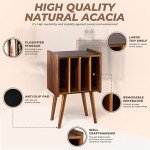 Wooden LP Record Player Stand with Storage Cabinets