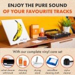Vinyl Record Cleaning Kit: 5-in-1 Essentials