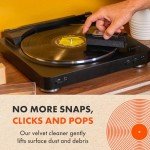 Vinyl Record Cleaning Kit: 5-in-1 Essentials