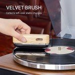1 BY ONE Anti-Static Vinyl Record Cleaner Brush