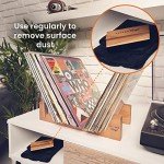 Vinyl Velvet Anti-Static Cleaning Brush with Handle