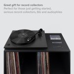 Vinyl Record Cleaning Kit with Brush & Stylus