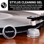 All-in-One Vinyl Record Cleaning Kit