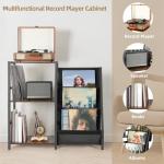 Bikoney Vinyl Record Player Stand with Storage