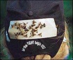 60 Deerfly Patches - Natural Repellent Solution