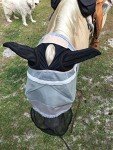 TredNot Horsefly Sticky Trap Patches - 12 Pack