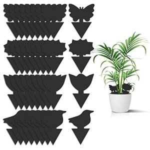 36 Pack Sticky Traps for House Plant Pests
