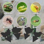 36 Pack Sticky Traps for House Plant Pests