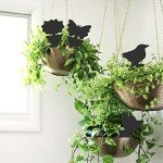 36 Pack Sticky Traps for House Plant Pests