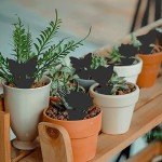 36 Pack Sticky Traps for House Plant Pests