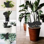 36 Pack Sticky Traps for House Plant Pests