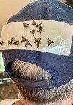 Deer Fly Repellent Patches - 12 Pack