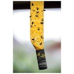 Black Flag Fly Paper Insect Trap 24-Pack