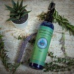 Nantucket Spider Extra Strength Tick Spray - 8 oz