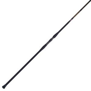 PENN Squadron III 10' Surf Fishing Rod