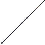 PENN Squadron III 10' Surf Fishing Rod