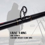 Fiblink Portable Surf Fishing Spinning Rods