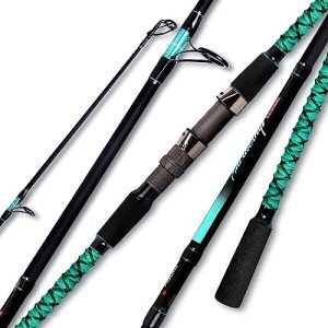 Fiblink 9' Portable 4-Piece Surf Fishing Rod