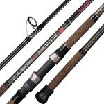 BERRYPRO Pure Carbon Surf Spinning Rod 9'-12