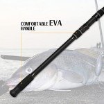 Fiblink Portable Surf Fishing Spinning Rods