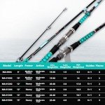 Fiblink 9' Portable 4-Piece Surf Fishing Rod