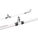 Berkley 7' Big Game Casting Fishing Rod