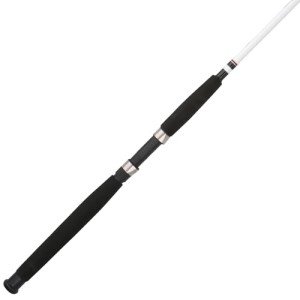 Berkley 8’ Big Game Two-Piece Spinning Rod