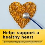 Nature Made 1200 mg Fish Oil Softgels, 100 Count