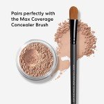 bareMinerals Loose Powder Concealer with SPF 20
