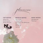Estée Lauder Fragrance Treasures Gift Set