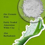 Kiehl's Rare Earth Deep Pore Cleansing Mask
