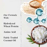 Kiehl's Amino Acid Shampoo for All Hair Types