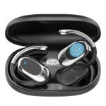Multilingual AI Translation Earbuds for Travel & Meetings