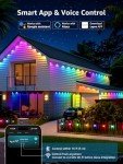 Smart RGB+IC Outdoor AI Christmas Lights, 100ft