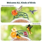 AI Bird Feeder Camera with Solar Panel