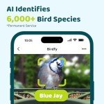 Smart Bird Feeder with Camera and AI Identification